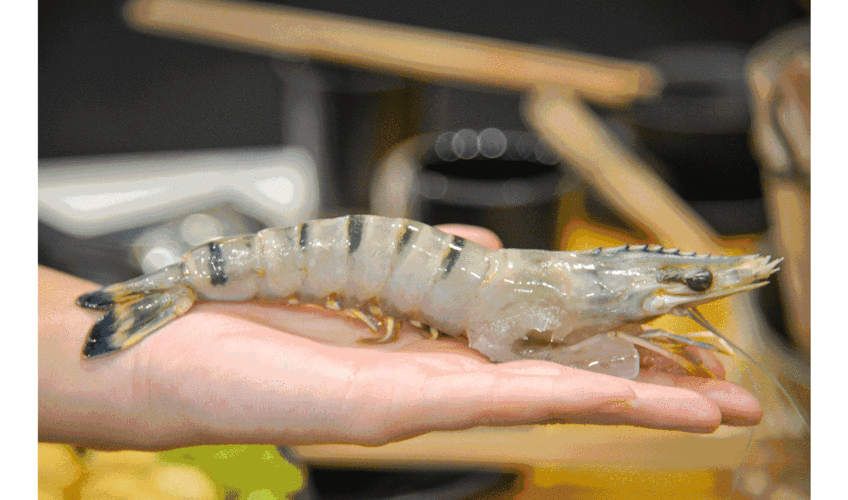 1500_884gif 动态图 动图