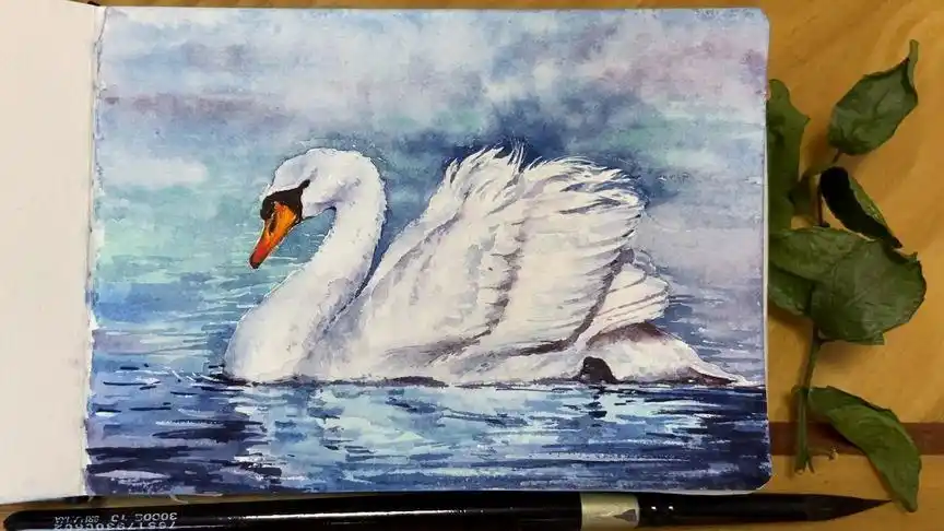 用黑天鹅水彩笔画的白天鹅