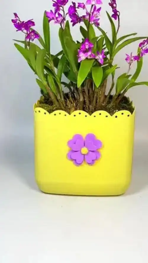 得会,快去收集瓶子做起来吧#变废为宝 #空瓶子的妙用 #自制花盆 #手工