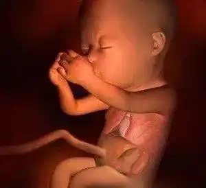 孕5个月的胎儿发育状况,这些护理要点,孕妈你做到了几条?