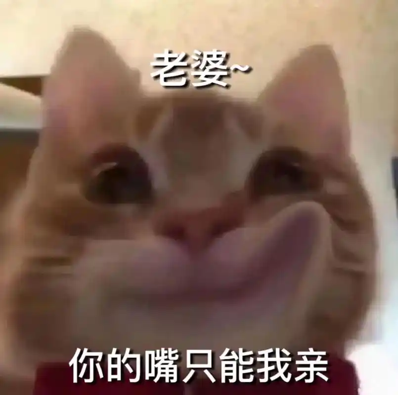 老婆,你的嘴只能我亲.#歪嘴小猫表情包 #发给对象表情包 # - 抖音