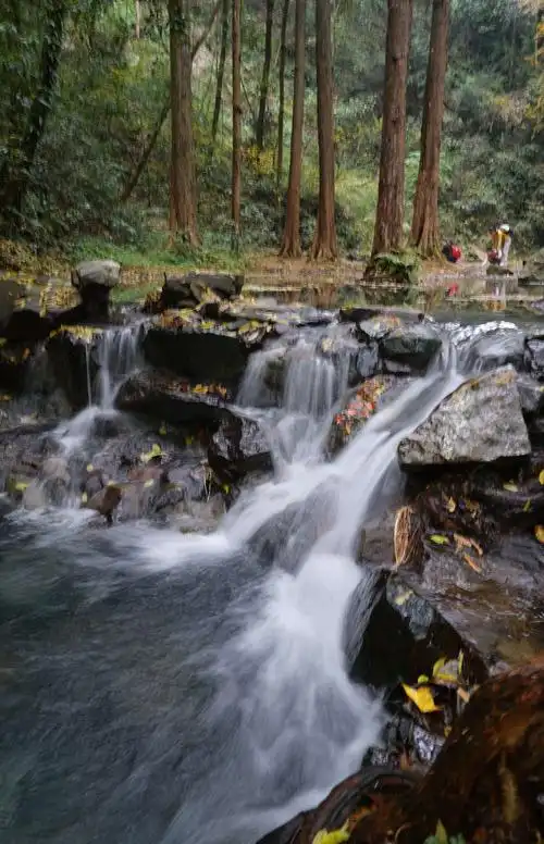 西湖 九溪十八涧行摄纪实