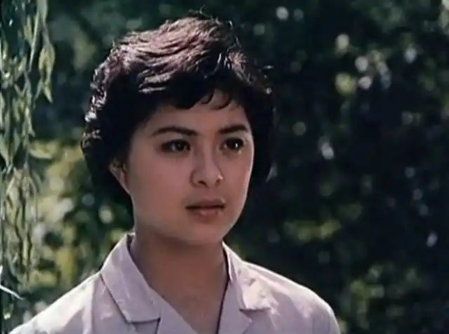 难忘反特故事片《黑三角》凌元演技棒 刘佳容貌美 李谷一歌声甜