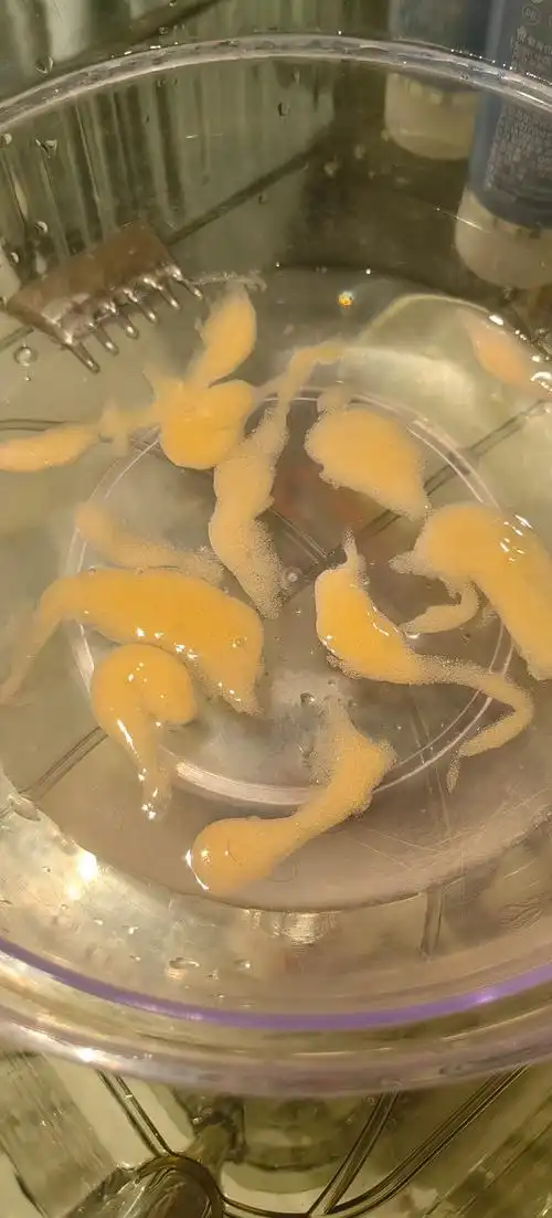 天!刮出来的油脂