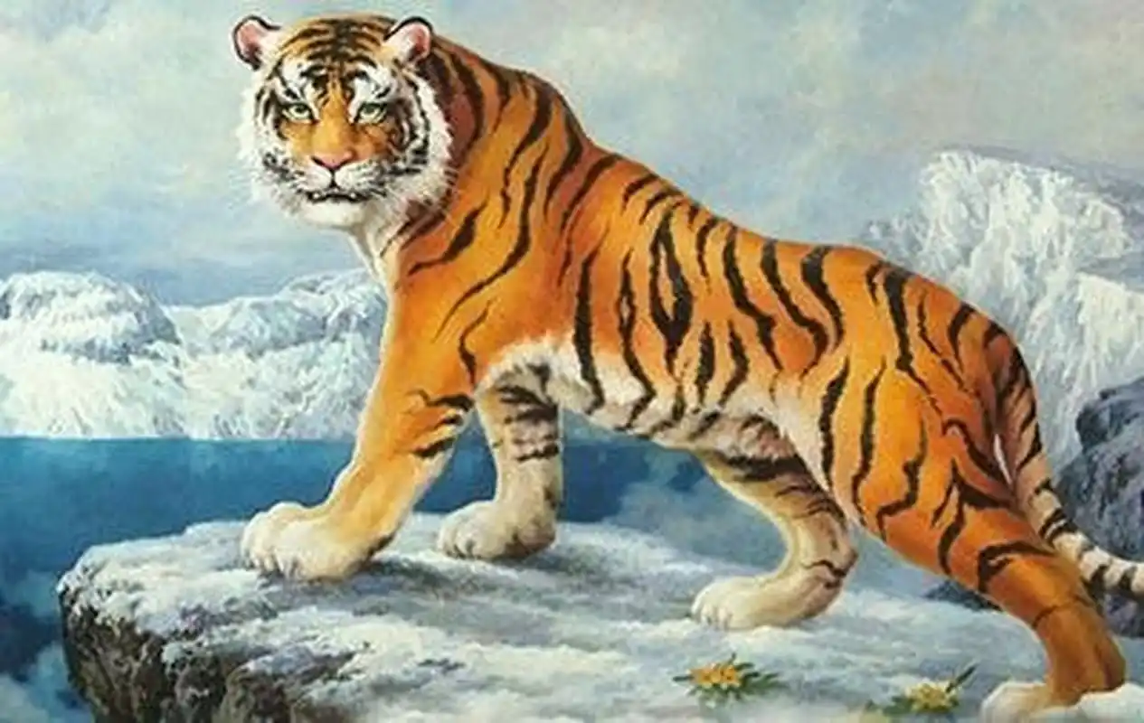 生肖虎  属虎的人几乎都是那种比较坚强的生肖,也许很多时候自己都在