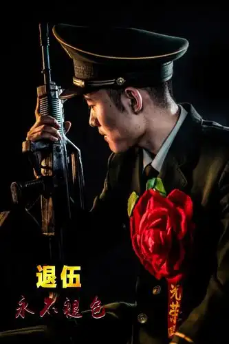 一组海报,致敬退伍老兵