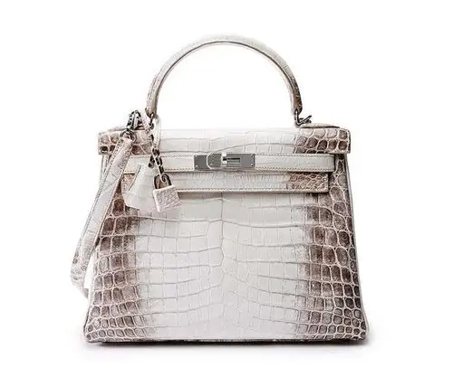 史上最全最贵的铂金凯丽包排名榜