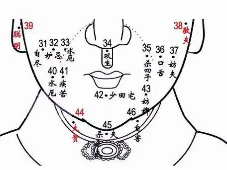 下巴长痣面相风水学 李嘉诚下巴痣在左还是右-神算网