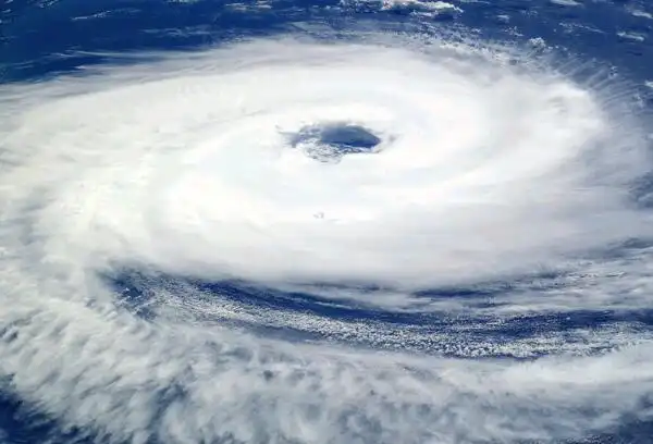 2017年第13号台风"天鸽"来袭 养殖户们该如何应对?