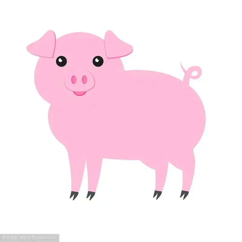 扁平的卡通粉红猪上的白色