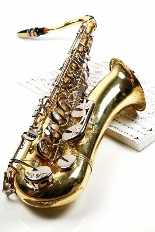 天籁萨克斯俱乐部圆你音乐之梦