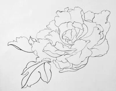 画- 堆糖,美图壁纸兴趣社区