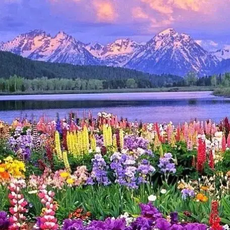 我的微信相册背景图库(七)