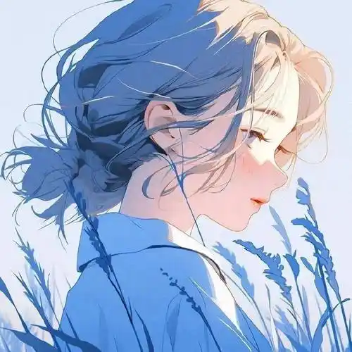 动漫头像 | 蓝色系小众动漫头像