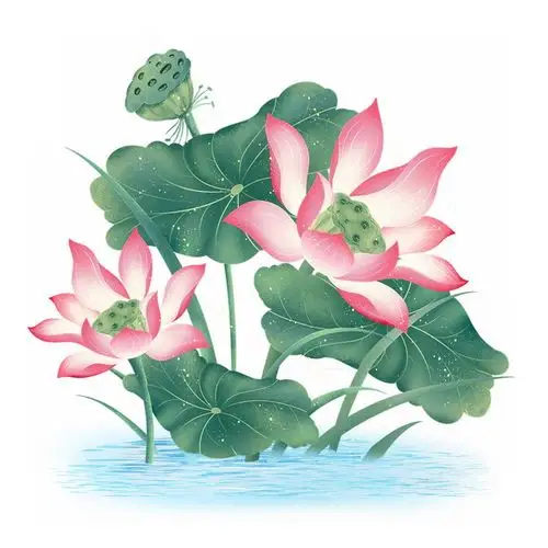 水面上的彩绘荷花荷叶莲蓬659032png图片素材