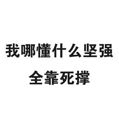 我哪懂什么坚强,全靠死撑 - 一波实用的纯文字表情包_文字表情表情
