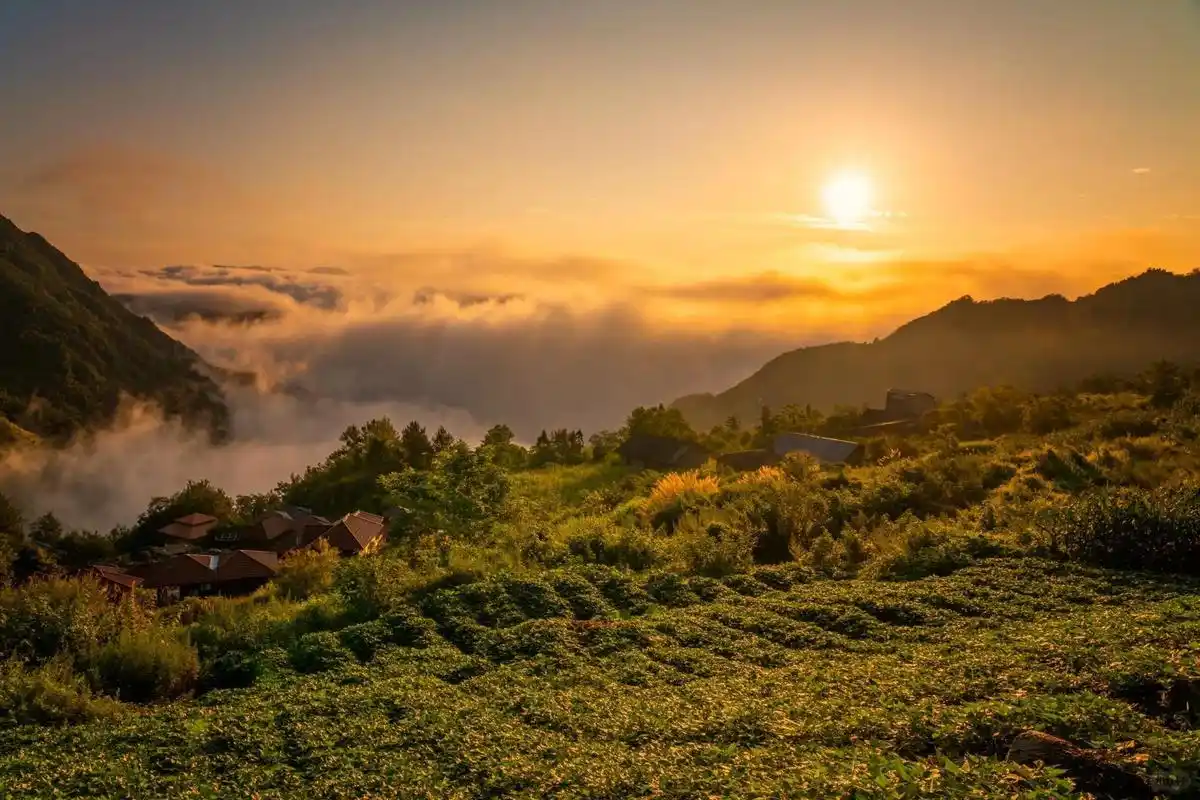 安康三日游day1-平利芍药谷 在某音刷到芍药谷的云海太心动了,说走就