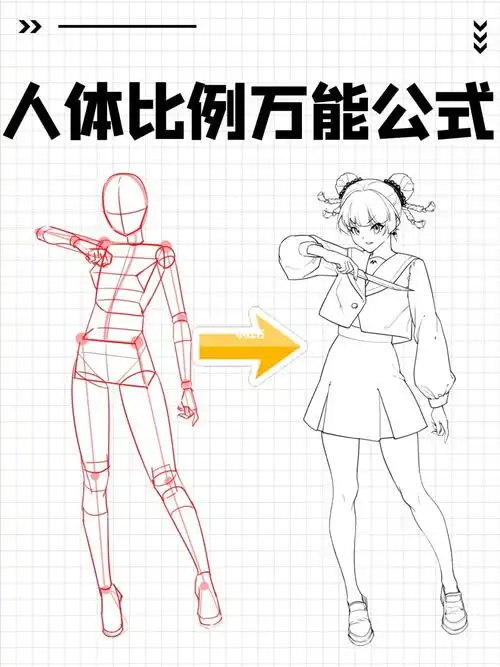 寻找小红书绘画大神   #绘画教程   #人体结构练习   #人体比例