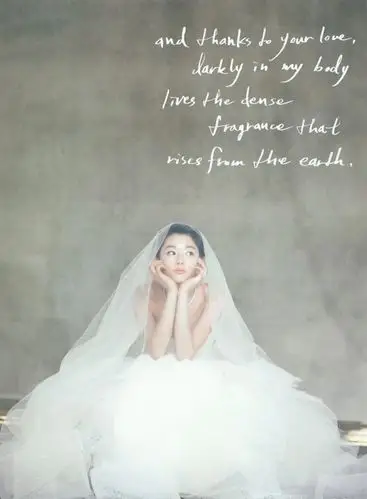 韩式全智贤婚纱大片