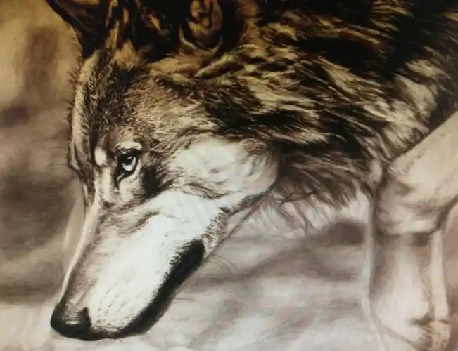 独眼狼祸害四邻 虔诚猫雪恨故地