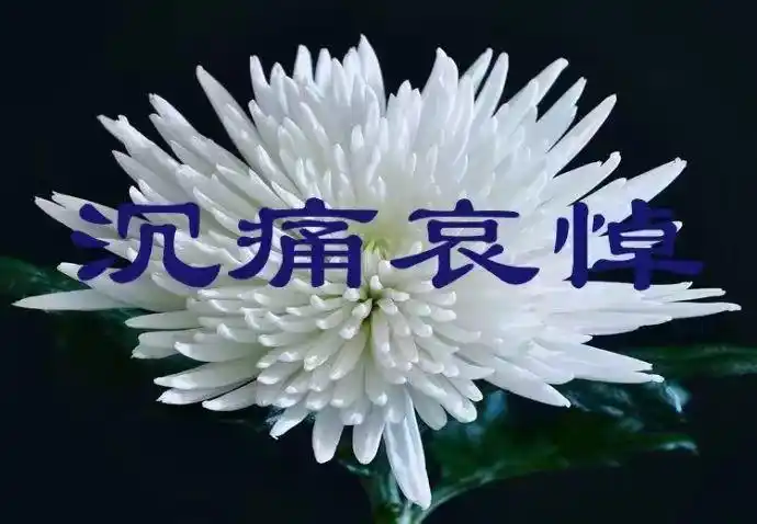 沉痛悼念李效文老师