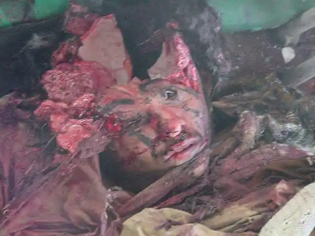 枪械威力第2辑(血腥慎入)