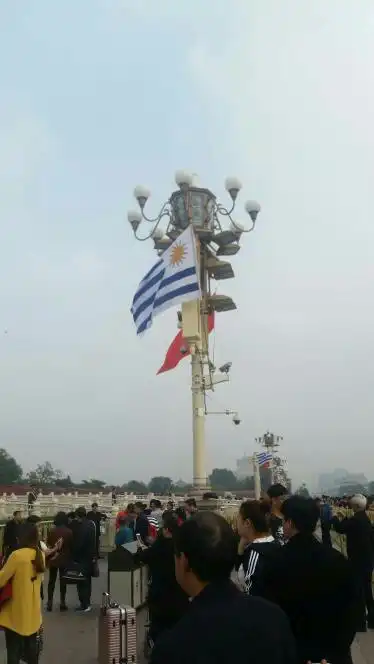 天安门前的蓝条太阳旗是什么旗,跟国旗挂一起的