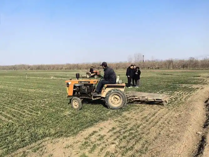 河北蠡县麦田镇压忙稳产保丰收