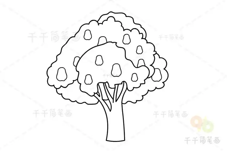 莲雾树简笔画