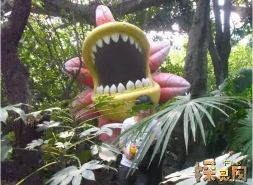 食人花吃人视频曝光吃掉十条生命才开一次花杀人于无形