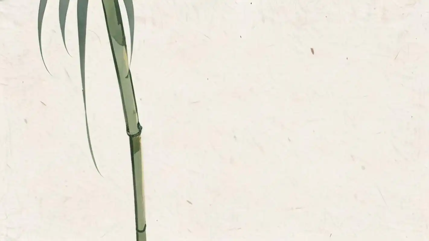 这组竹子古风淡雅背景图,仿佛带你穿越时空,感受那份恬静与美好.