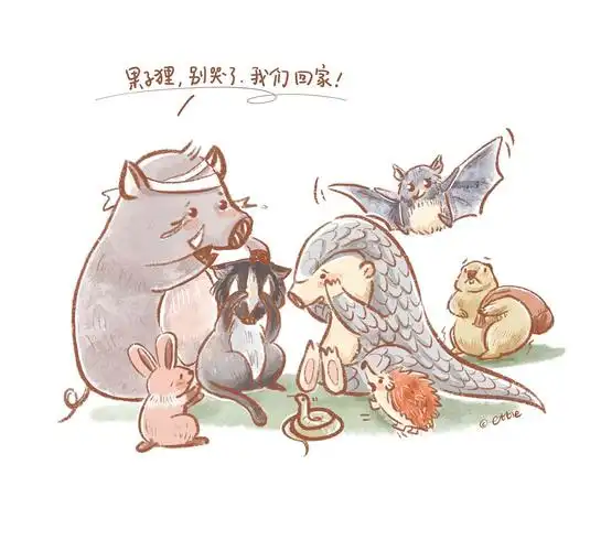 万物有灵拒绝野味果子狸我们回家