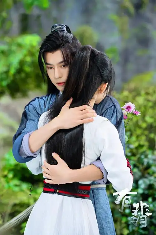 有翡允翡赵丽颖王一博