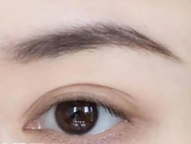 画眉界宝藏单品全攻略,让你的每一根眉毛都乖乖听话!