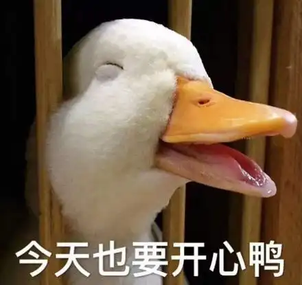 没被大鹅追过的童年是不完整的哈哈哈哈哈哈哈哈哈笑出鹅叫