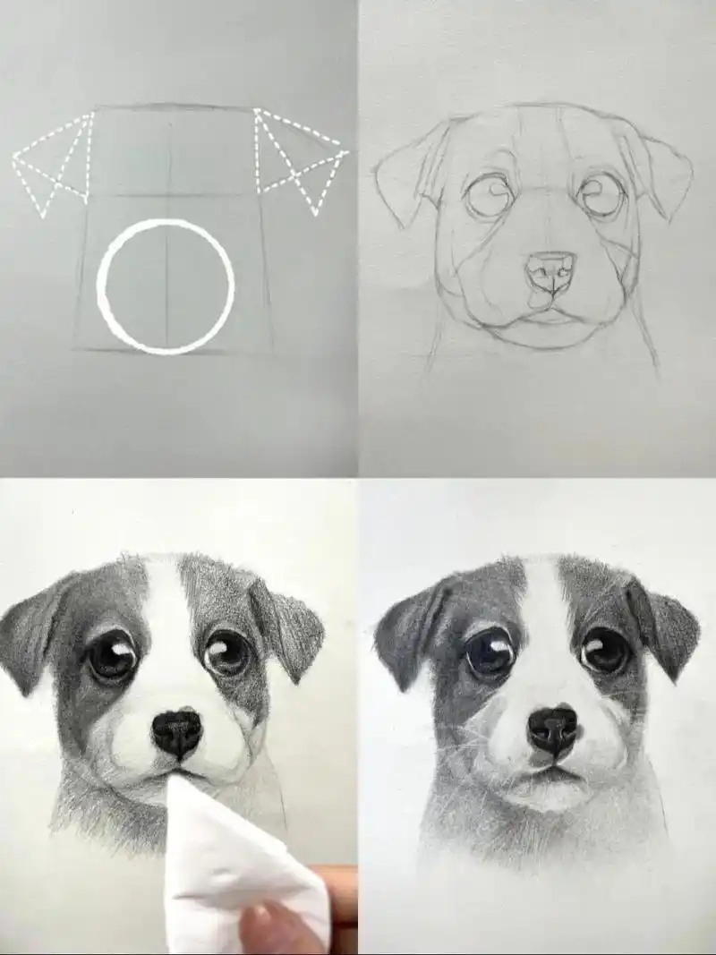 简单又可爱的素描狗狗绘画过程.#素描 #绘画过程 #零基础教