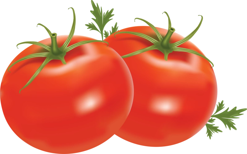 png tomato images