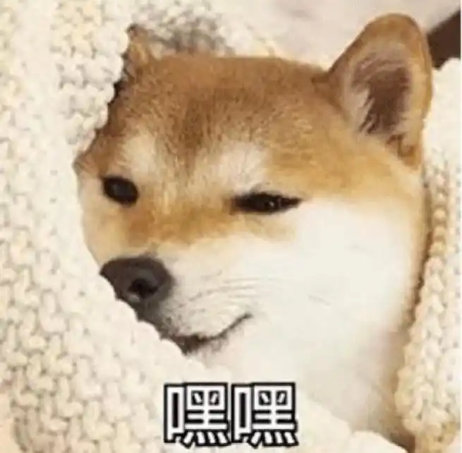 萌宠汪星人嘿嘿坏笑搞怪逗gif动图_动态图_表情包下载_soogif