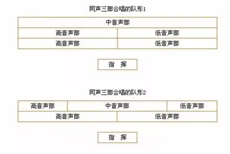 合唱队形排列建议永久收藏