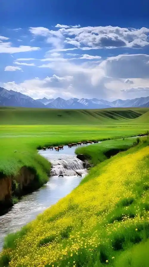 高清4k风景壁纸,一起享受大自然的美