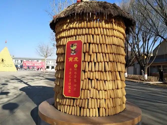 不缺粮食,才用玉米搭建粮仓
