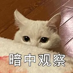 请问锂电池洗车机啥型号性价比高实用? - 知乎