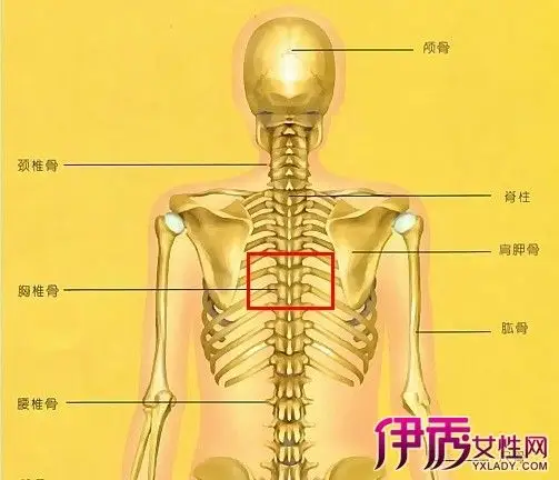 背部额头多汗什么原因