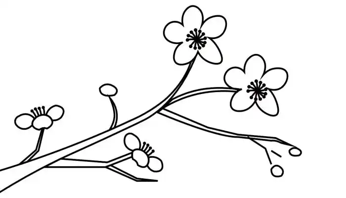 梅花配图简笔画梅花配图简笔画怎么画