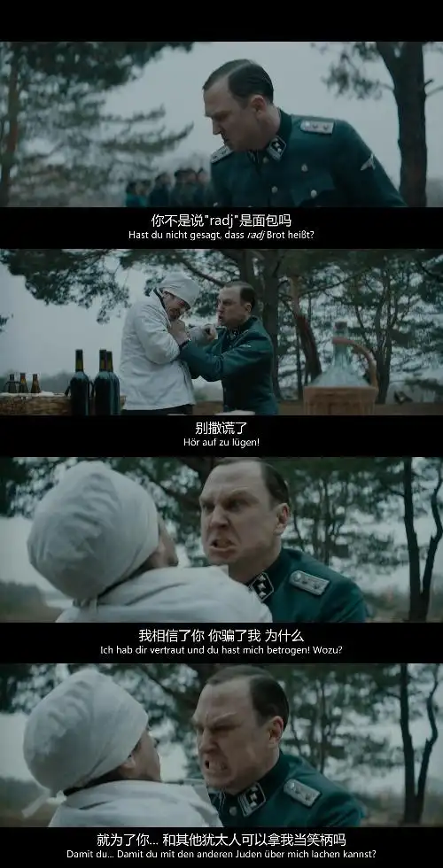 《波斯语课》:用优美的假话,讲彻骨的罪恶