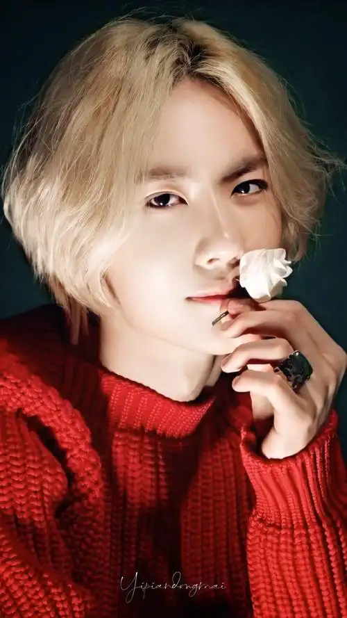 洛阳白牡丹,去洛阳看看成了我的执念