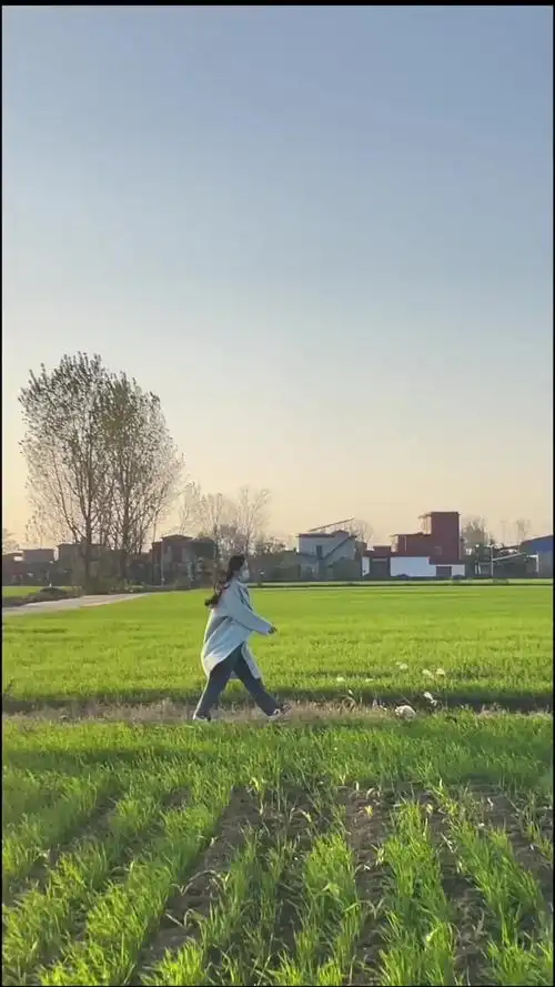 兜兜转转,一年又一年,没有了芳华,逝去了青春