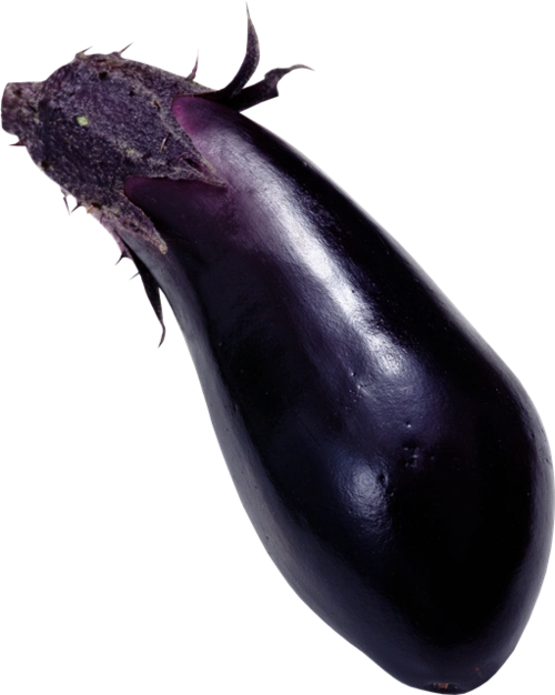真实茄子图片大全-真实茄子图片素材-真实茄子免抠图片大全下载