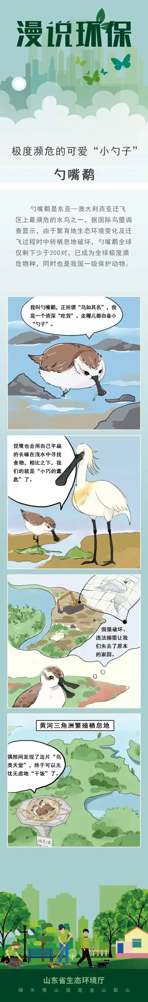 漫说环保 | 极度濒危的可爱"小勺子":勺嘴鹬