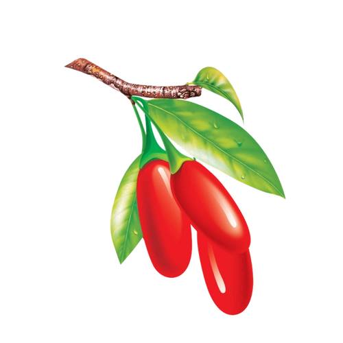 09:33:55手绘枸杞水果都特么滚该采集也在以下画板加载更多